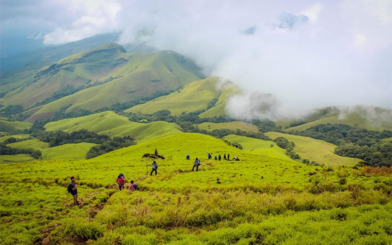 Trekkers on the green Kudremukh grasslands near Coffee Ghiri