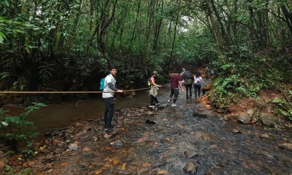 Kudremukh Forest