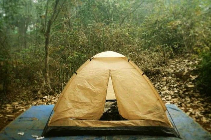 Tent stay in the forest at Coffee Ghiri Homestay